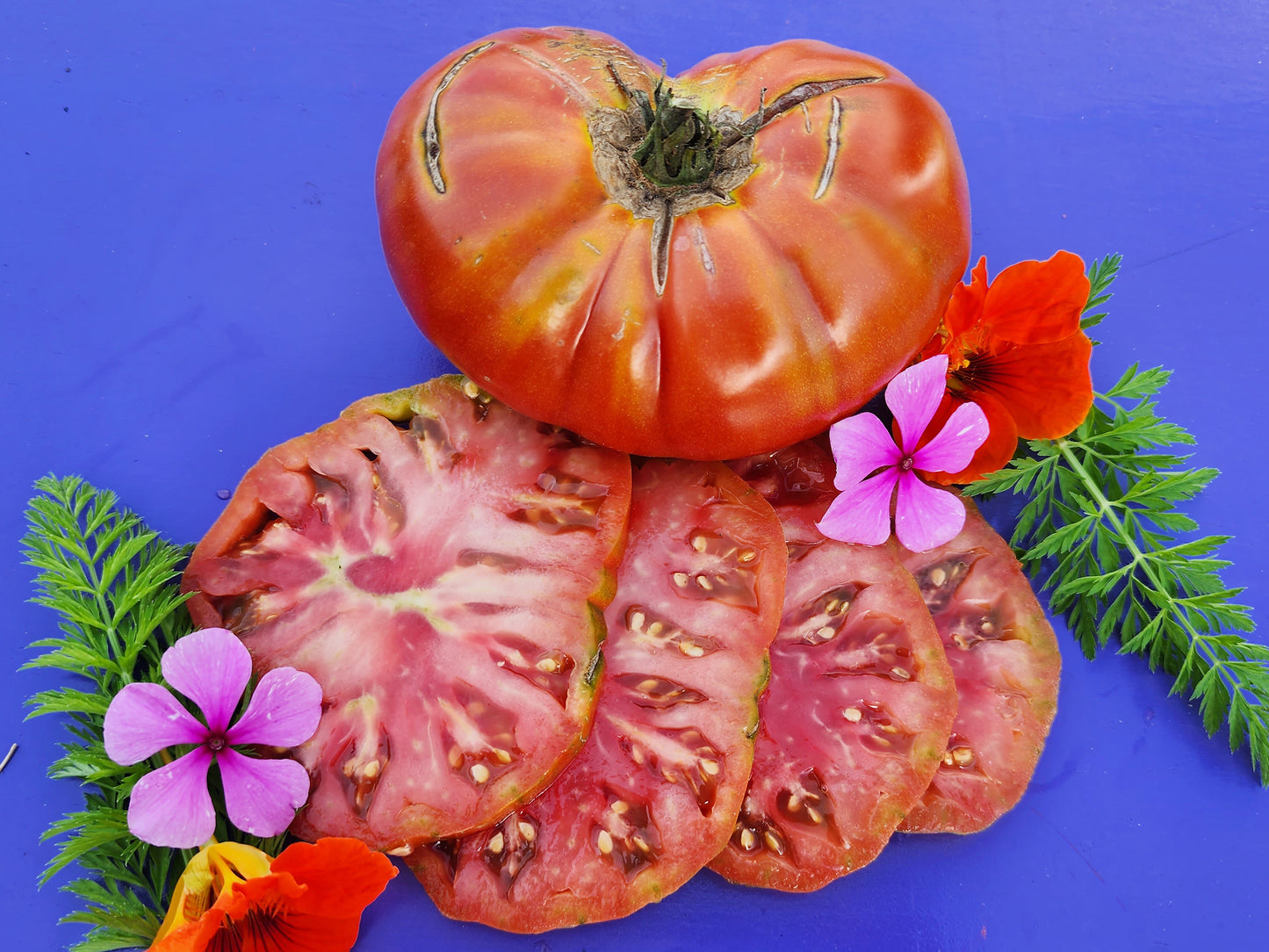 Texwine Beefsteak Tomato